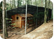 Animal enclosure 1" chain link fence