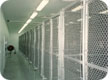 Dog kennel fence