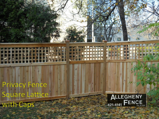 Privacy Fence Square Lattice with Caps